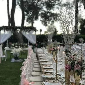 Anadolu Park Kır Düğünü²⁰¹⁸