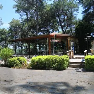 anadolu-park-restaurant-orman-doga