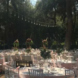 Kır Düğünü Antalya - Anadolu Park Restaurant