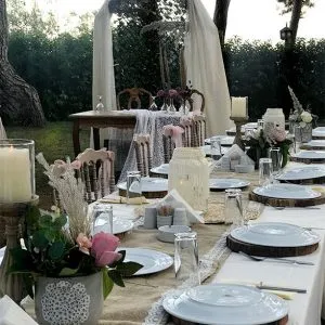 pampas-otlu-konsept-kir-dugunu