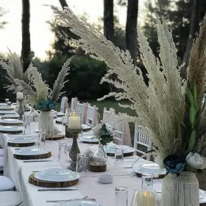 pampas-otlu-konsept-kir-dugunu-antalya